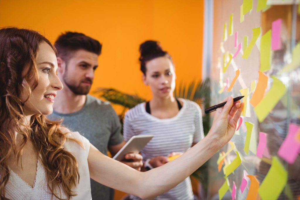 Press & Media Promotions